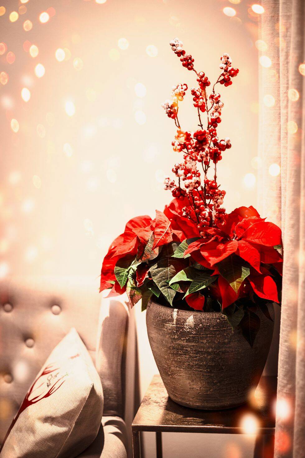 Inspiração de decoração — Seu Estilo Decor